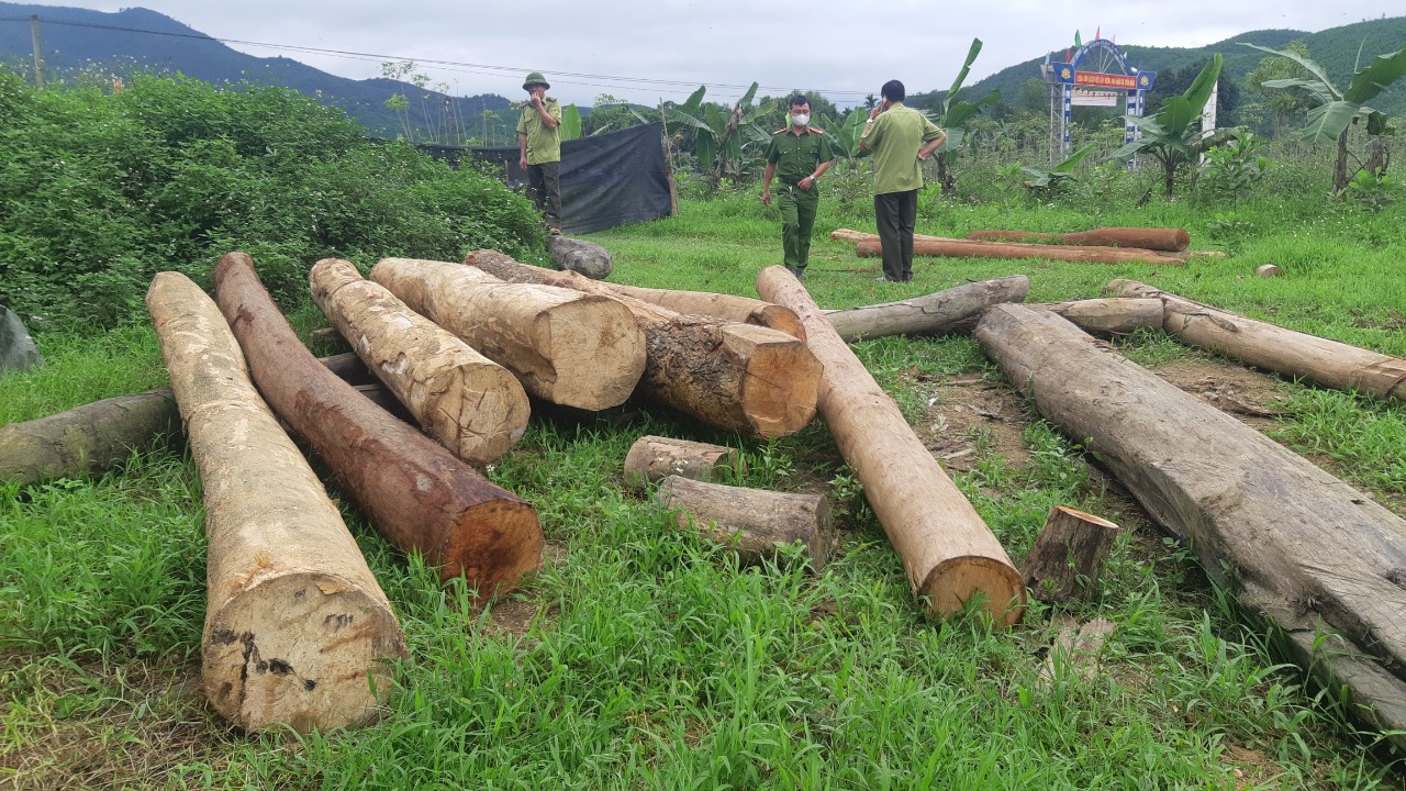 Hà Tĩnh: Cửa rừng đã đóng sao gỗ vẫn ''lọt'' về xuôi!